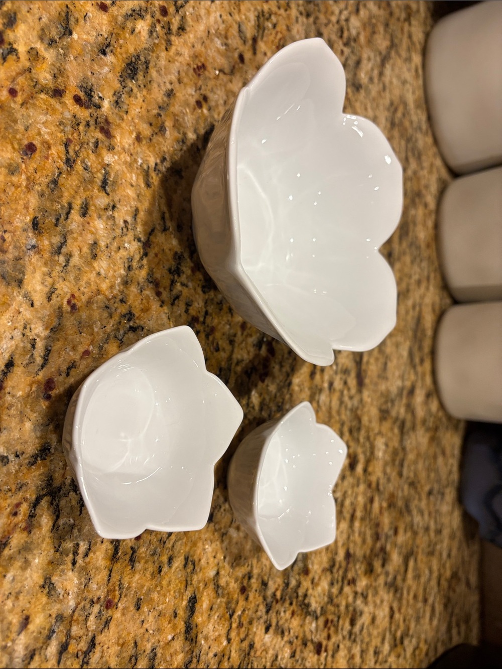 Pier 1 White Ceramic Petal Bowls - Set of 3